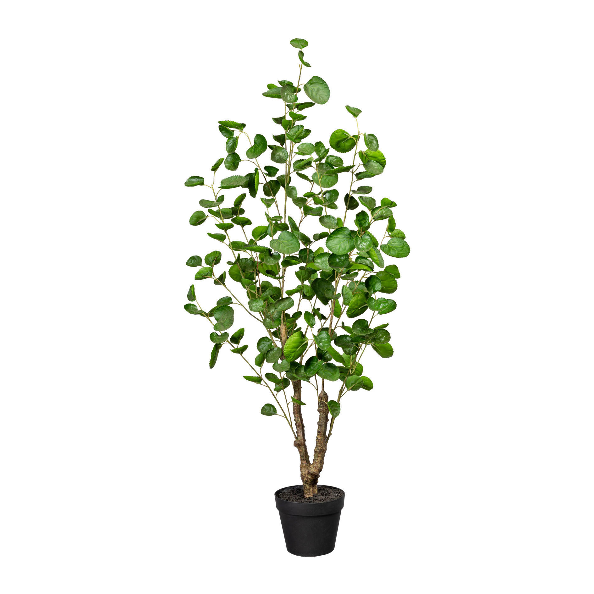 KUNSTPFLANZE 110 cm  - Schwarz/Braun, Design, Kunststoff (110cm) - P & B