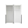 DREHTÜRENSCHRANK  in Weiß  - Schwarz/Weiß, MODERN, Glas/Holzwerkstoff (180/225/52cm) - Carryhome