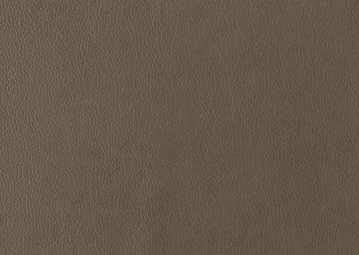 SESSEL in Echtleder Graubraun  - Graubraun/Schwarz, Design, Leder/Kunststoff (80/78/82cm) - Celina