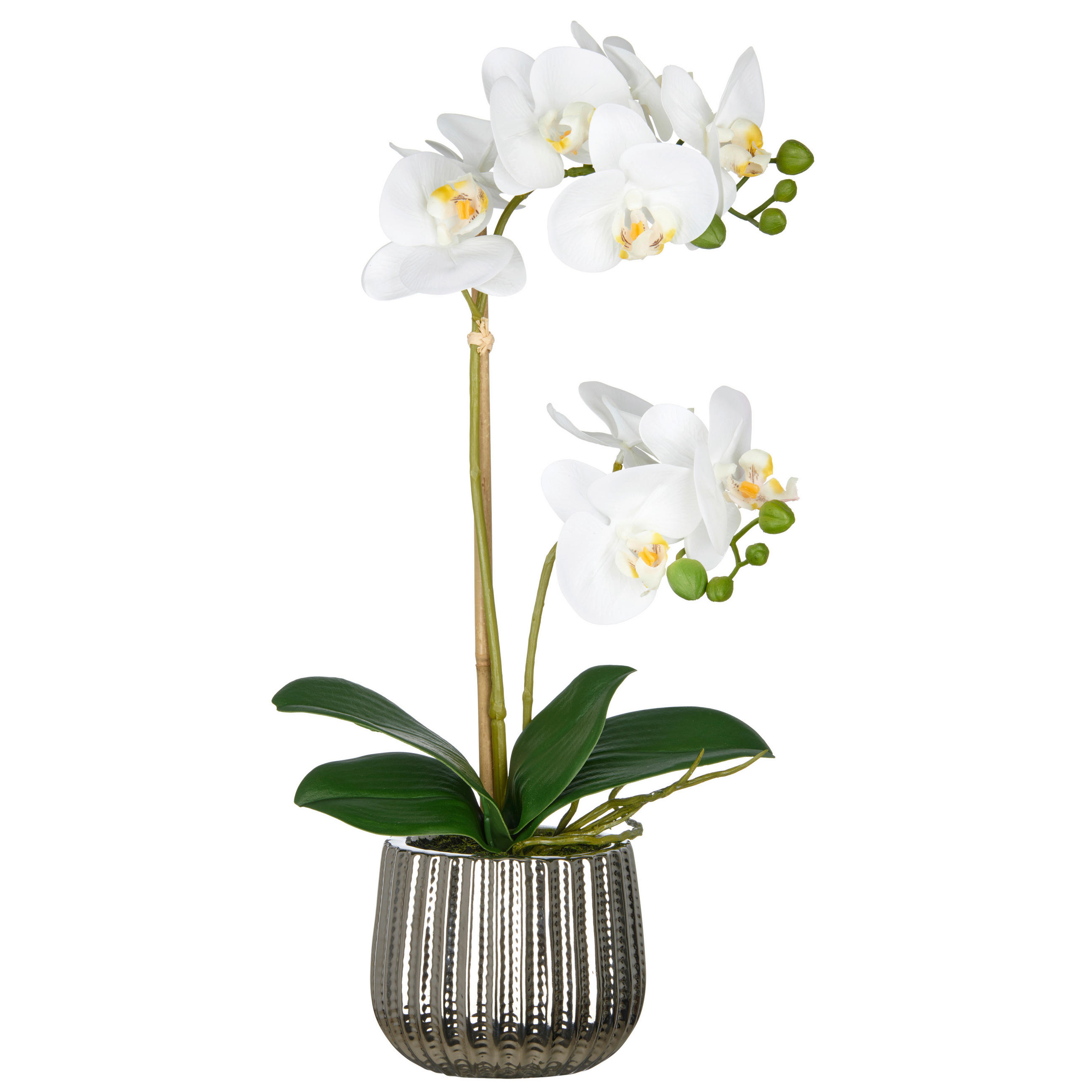 KUNSTPFLANZE Orchidee  - Silberfarben/Schwarz, Basics, Keramik/Kunststoff (17/55/17cm) - P & B