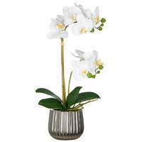 KUNSTPFLANZE Orchidee 55 cm  - Silberfarben/Schwarz, Basics, Keramik/Kunststoff (55cm) - P & B