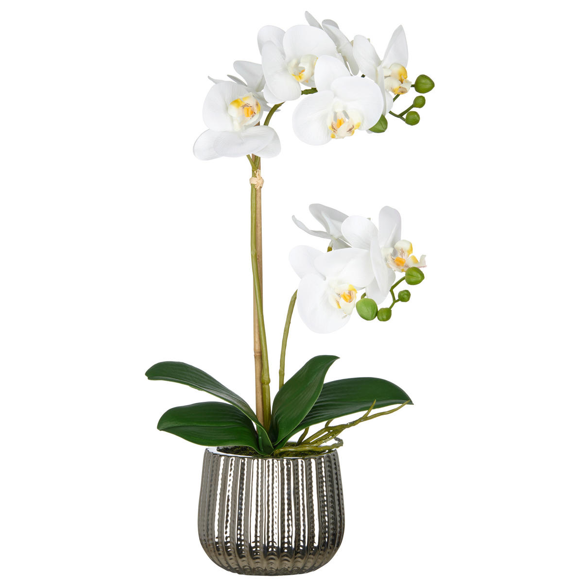 KUNSTPFLANZE Orchidee 55 cm  - Silberfarben/Schwarz, Basics, Keramik/Kunststoff (55cm) - P & B