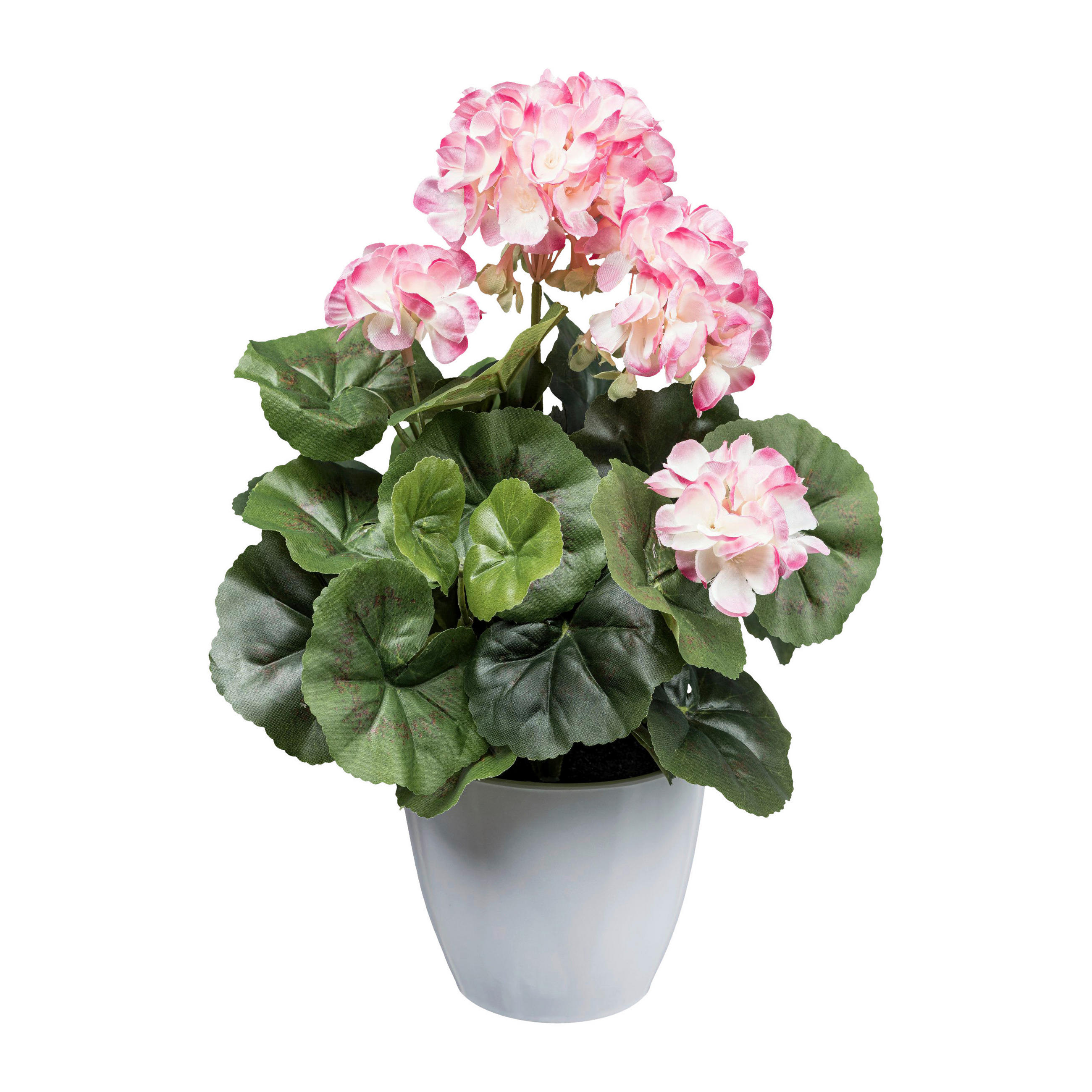 KUNSTPFLANZE Geranie 34 cm  - Rosa/Weiß, Design, Kunststoff (34cm) - P & B