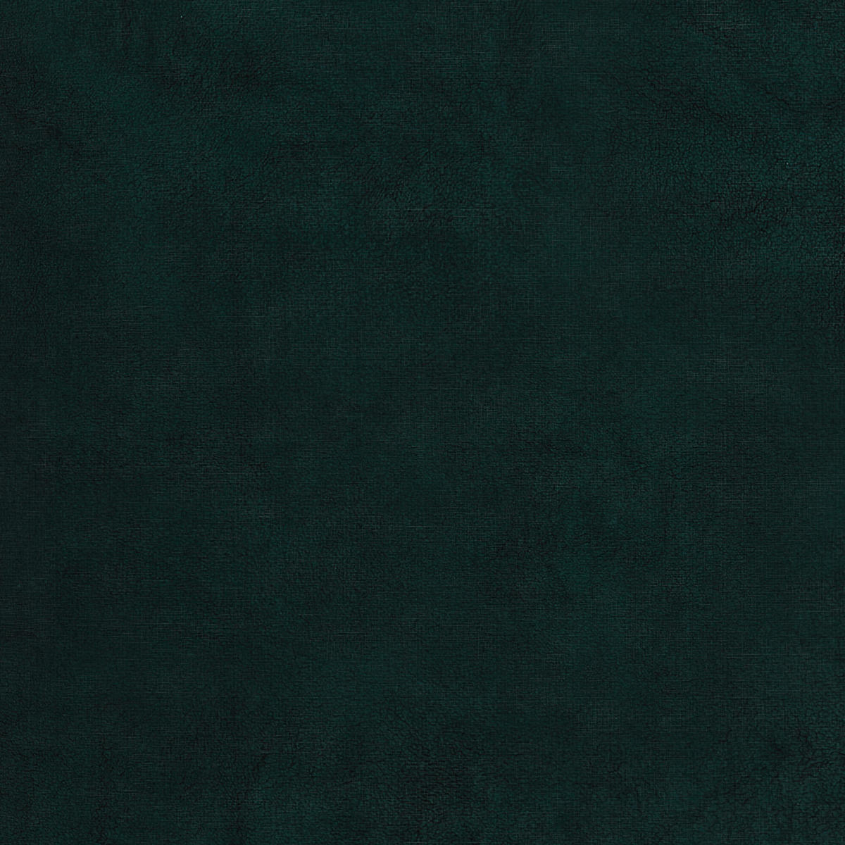 POSTELJNINA TEDDY 240/220 cm žamet, plišast material  - Basics, tekstil (240/220cm) - Esposa