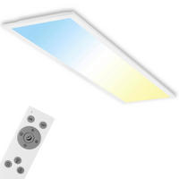 LED-DECKENLEUCHTE 100/25/6 cm   - Weiß, Design, Kunststoff (100/25/6cm)