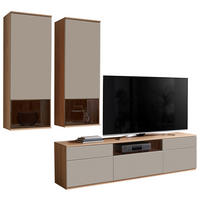 WOHNWAND  in Grau, Buchefarben  255/215/45 cm  - Buchefarben/Schwarz, KONVENTIONELL, Glas/Holzwerkstoff (255/215/45cm) - Venda