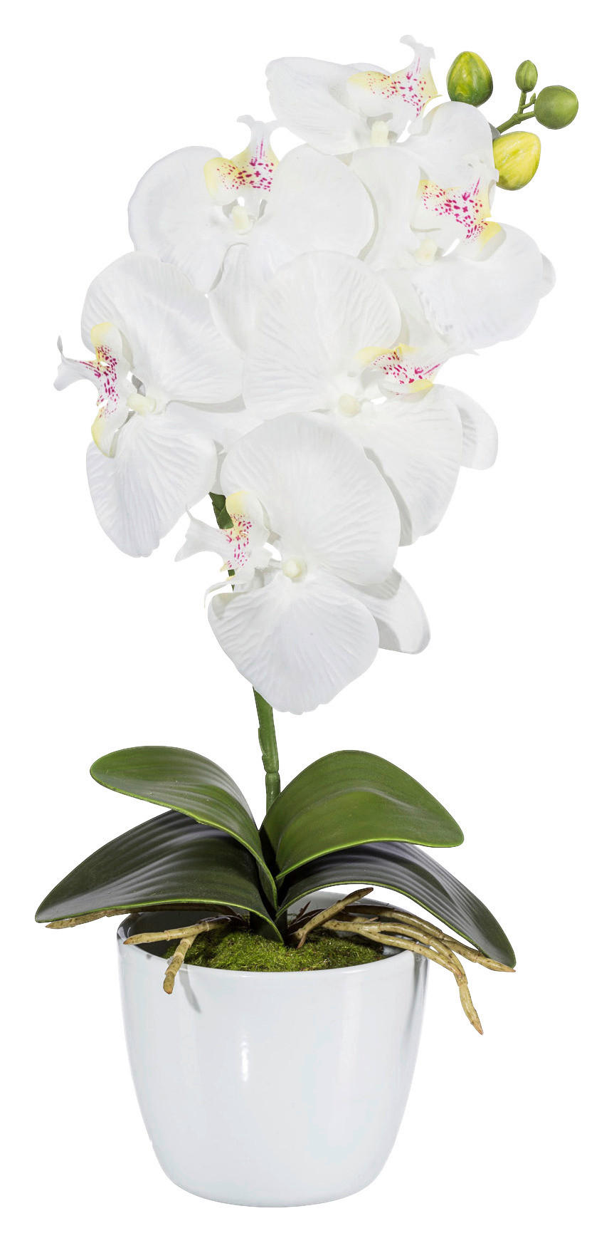 Kunstpflanze Orchidee Bunt L: 40 Cm Im Topf, Sofie