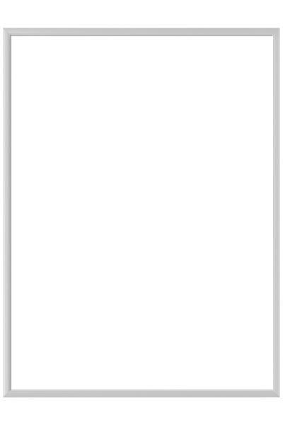 BILDERRAHMEN 18/24 cm  - Silberfarben, Basics, Metall (18/24cm) - Nielsen