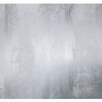 FOTOTAPETE - Grau, Trend (300/280cm)