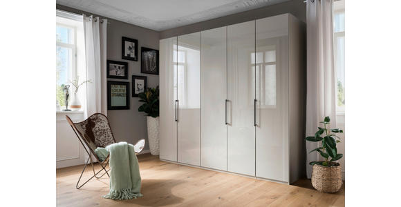 KLEIDERSCHRANK 250/216/58 cm 5-türig Grau - Schieferfarben/Grau, KONVENTIONELL, Glas/Holzwerkstoff (250/216/58cm) - Novel
