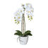 KUNSTPFLANZE Orchidee - Dunkelgrün/Weiß, Keramik/Kunststoff (43cm) KUNSTPFLANZE Orchidee - Dunkelgrün/Weiß, Keramik/Kunststoff (43cm)