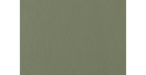 SESSEL in Echtleder Grün - Schwarz/Grün, MODERN, Leder/Metall (74/105/92cm) - Johann Jakob