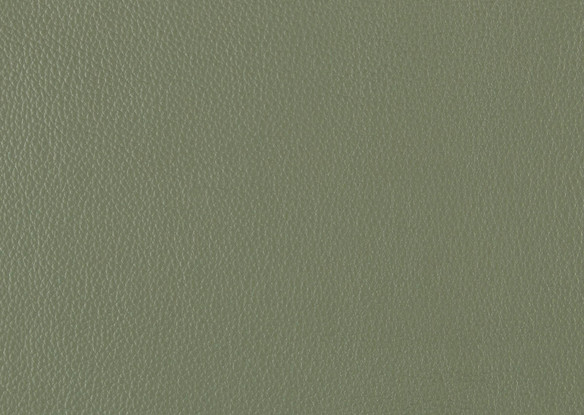 SESSEL in Echtleder Grün  - Schwarz/Grün, Modern, Leder/Metall (74/105/92cm) - Johann Jakob
