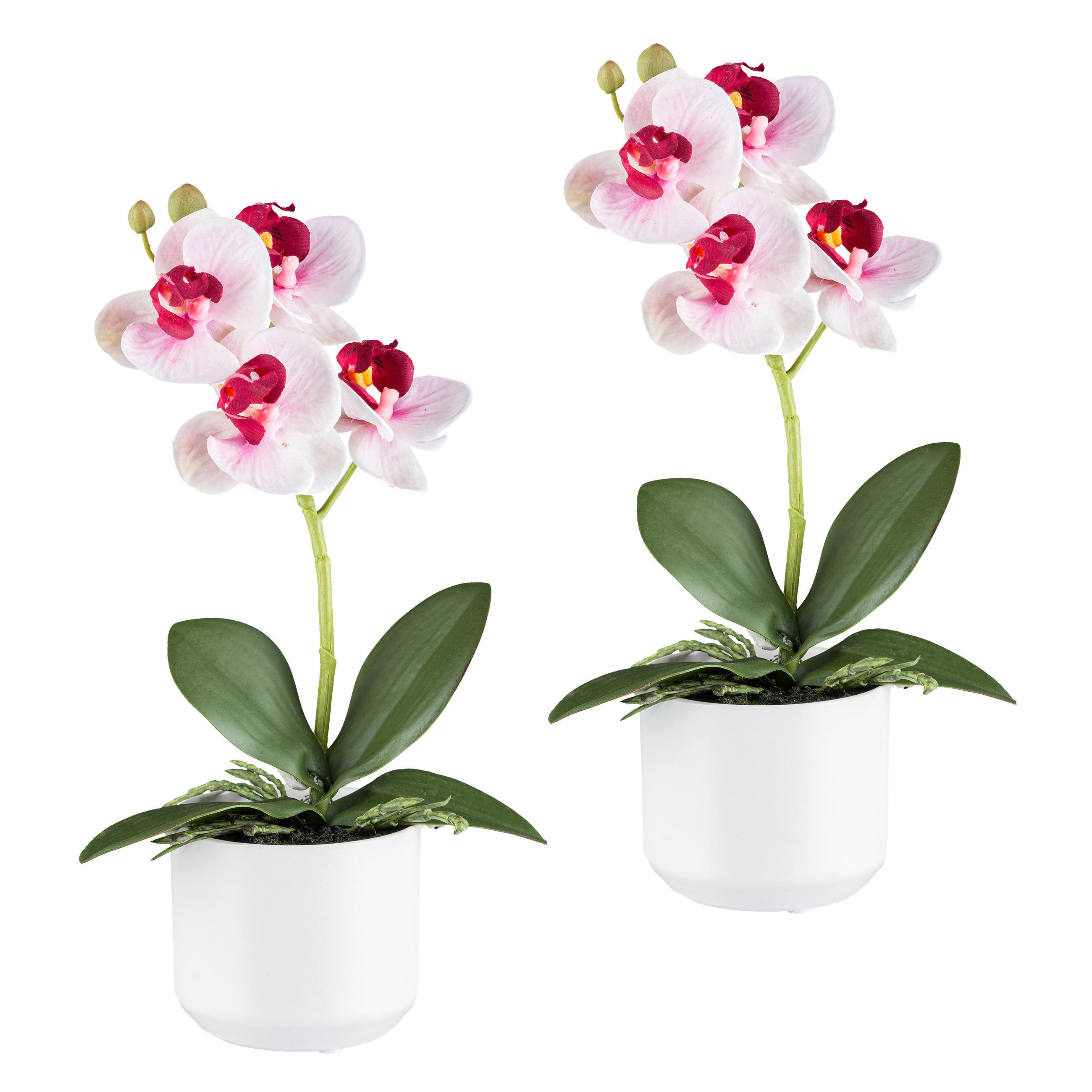 KUNSTPFLANZE Orchidee 27 cm  - Pink/Rosa, Design, Keramik/Kunststoff (27cm) - P & B