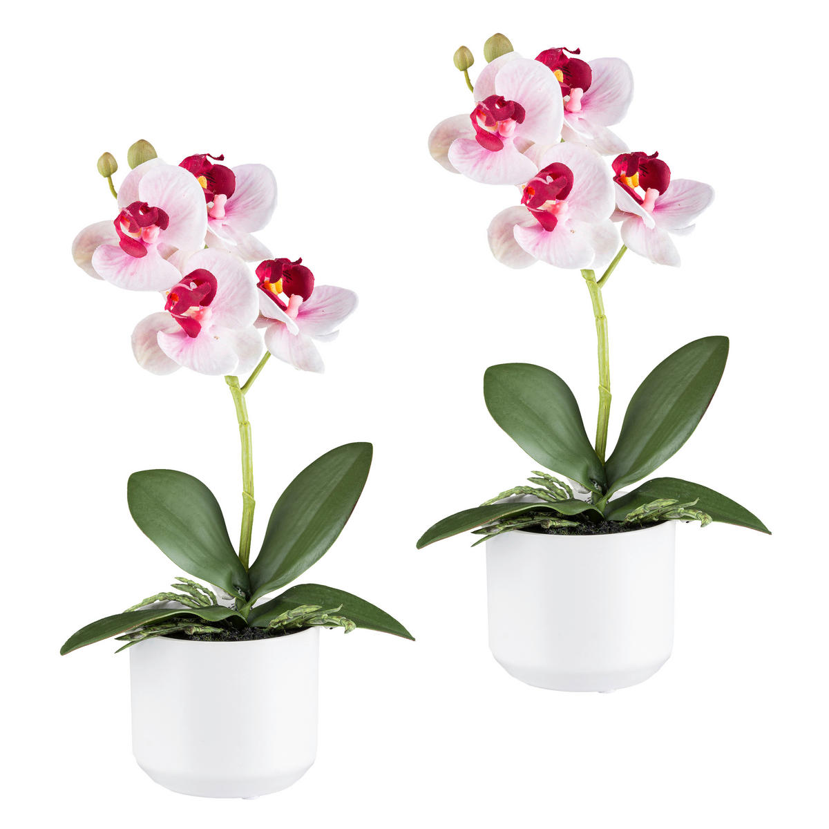 KUNSTPFLANZE Orchidee 27 cm  - Pink/Rosa, Design, Keramik/Kunststoff (27cm) - P & B