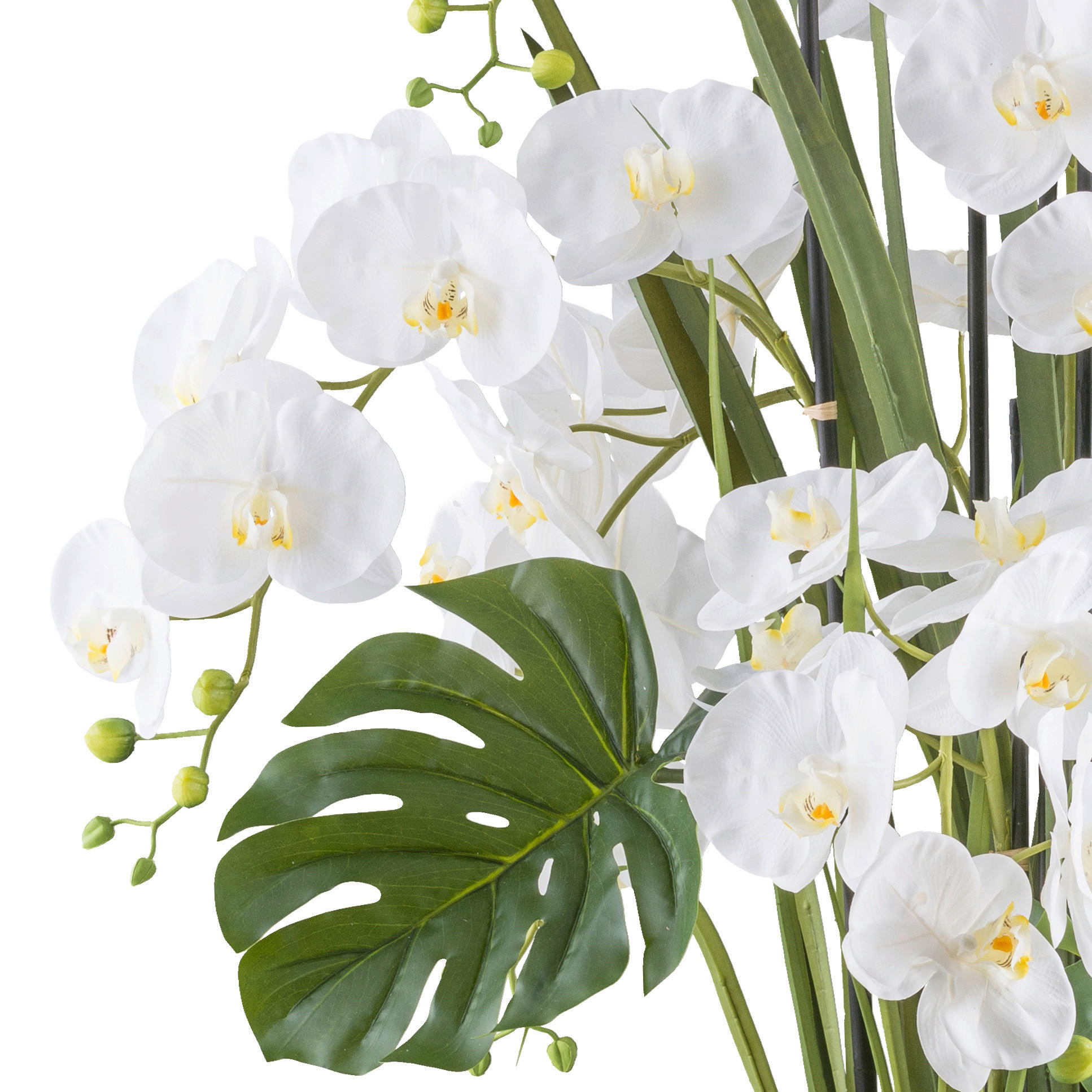 KUNSTPFLANZE Orchidee 120 cm - Creme/Weiß, Design, Kunststoff (120cm) - P & B