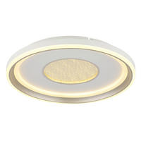 STROPNA LED-SVETILKA  EILA //2700-6000 K/230 V/ - barve šampanjca/bela, Design, kovina/umetna masa (48/7,5cm) - Globo