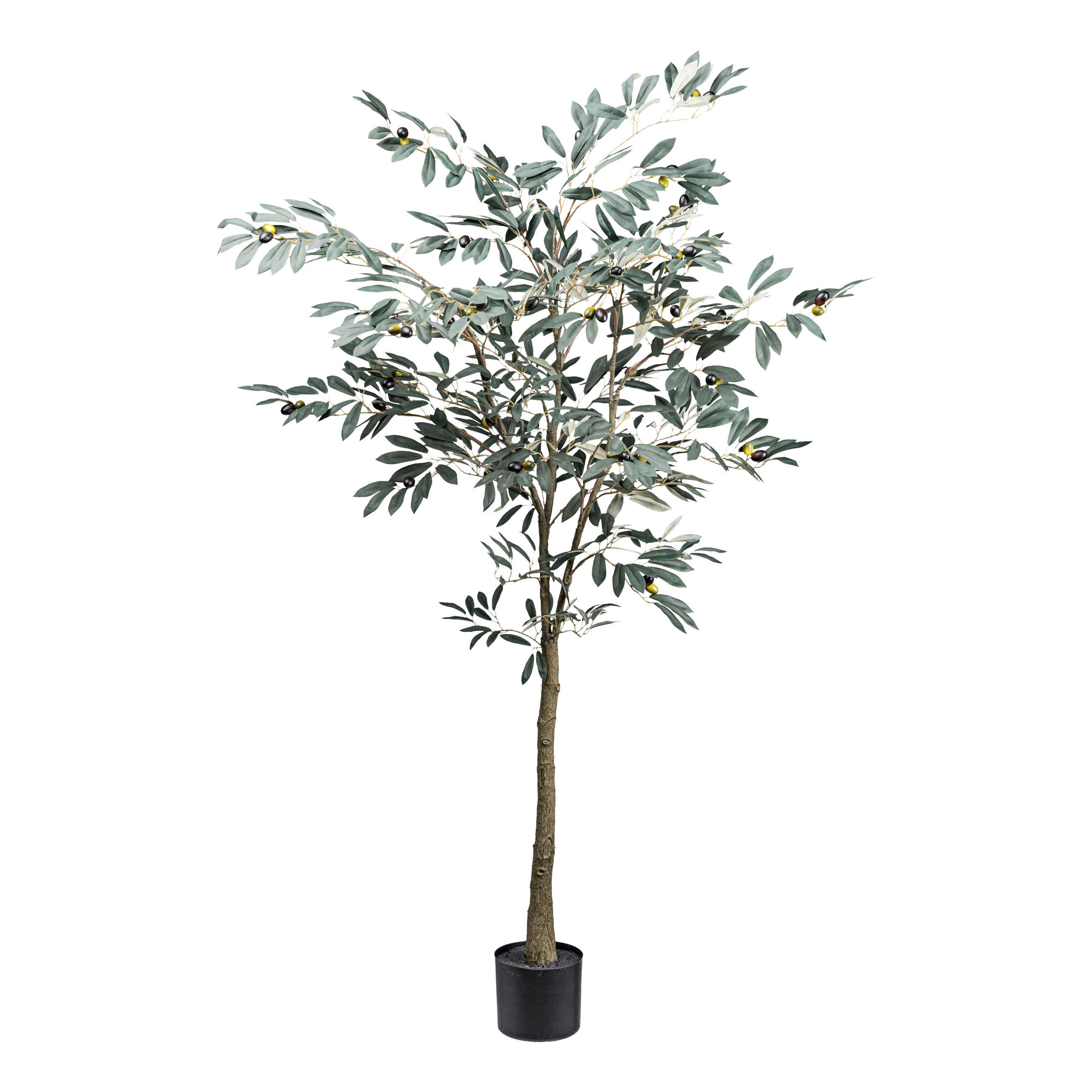 KUNSTPFLANZE Olive 150 cm  - Schwarz/Braun, Design, Kunststoff (150cm) - P & B