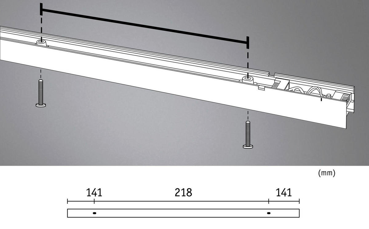 SCHIENENSYSTEM-STABLEUCHTE - Basics (50/4/4cm) - Paulmann