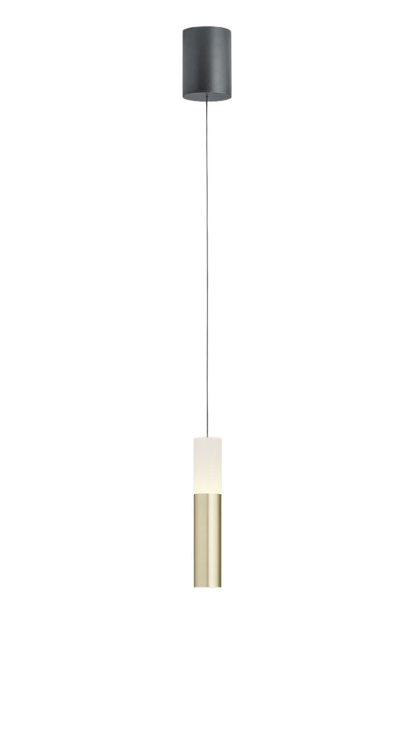 LED-PENDELLEUCHTE Lidos 8 / 4,5/35-210 cm  - Goldfarben/Schwarz, Design, Glas/Metall (8 / 4,5/35-210cm) - Helestra