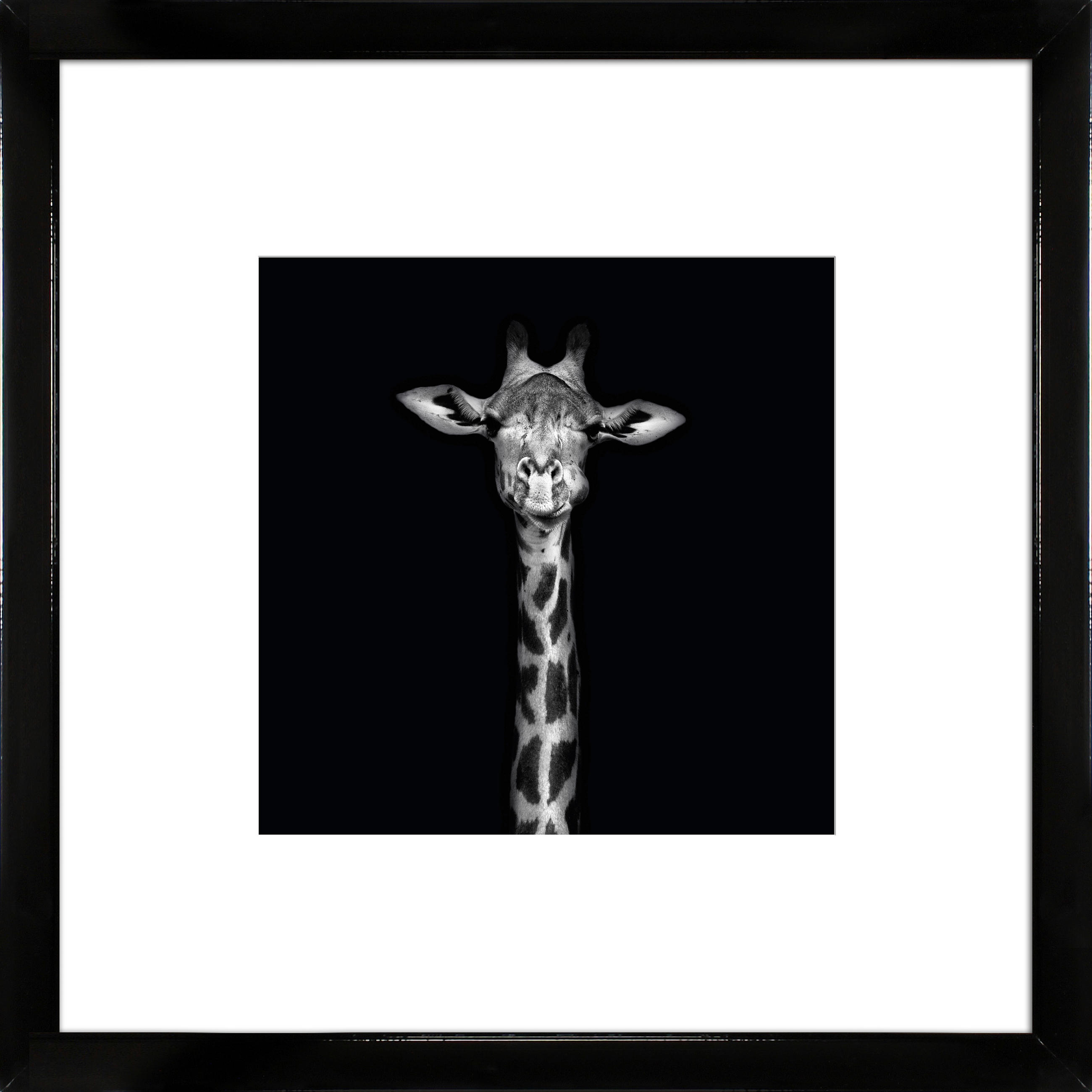 KUNSTDRUCK Tiere 55/55/1,5 cm  - Schwarz Hochglanz/Schwarz, Basics, Holz (55/55/1,5cm)