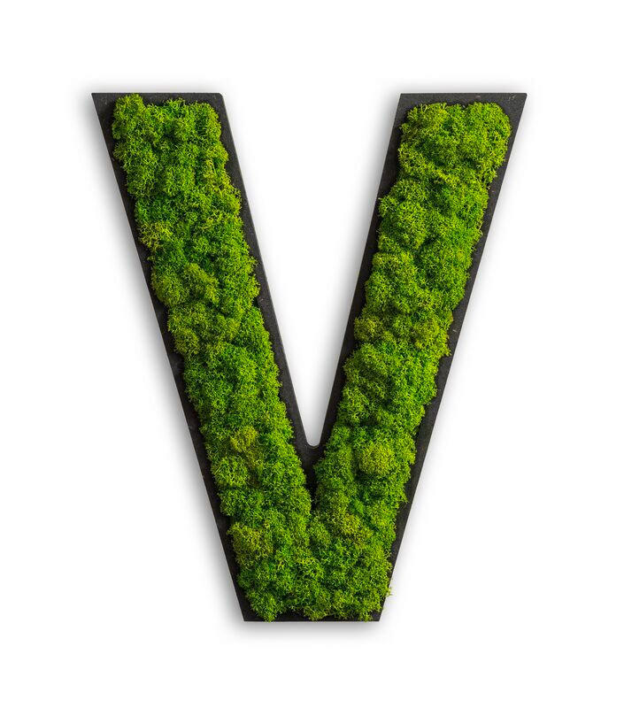 StyleGREEN MECHOVÝ OBRAZ
