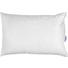ZIRBENKISSEN 40/60 cm - Weiß, Natur, Textil (40/60cm) - Sleeptex ZIRBENKISSEN 40/60 cm - Weiß, Natur, Textil (40/60cm) - Sleeptex