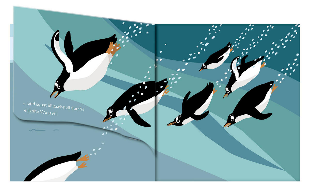 BUCH - Multicolor, Basics, Papier (14/14/0,5cm) - Carlsen