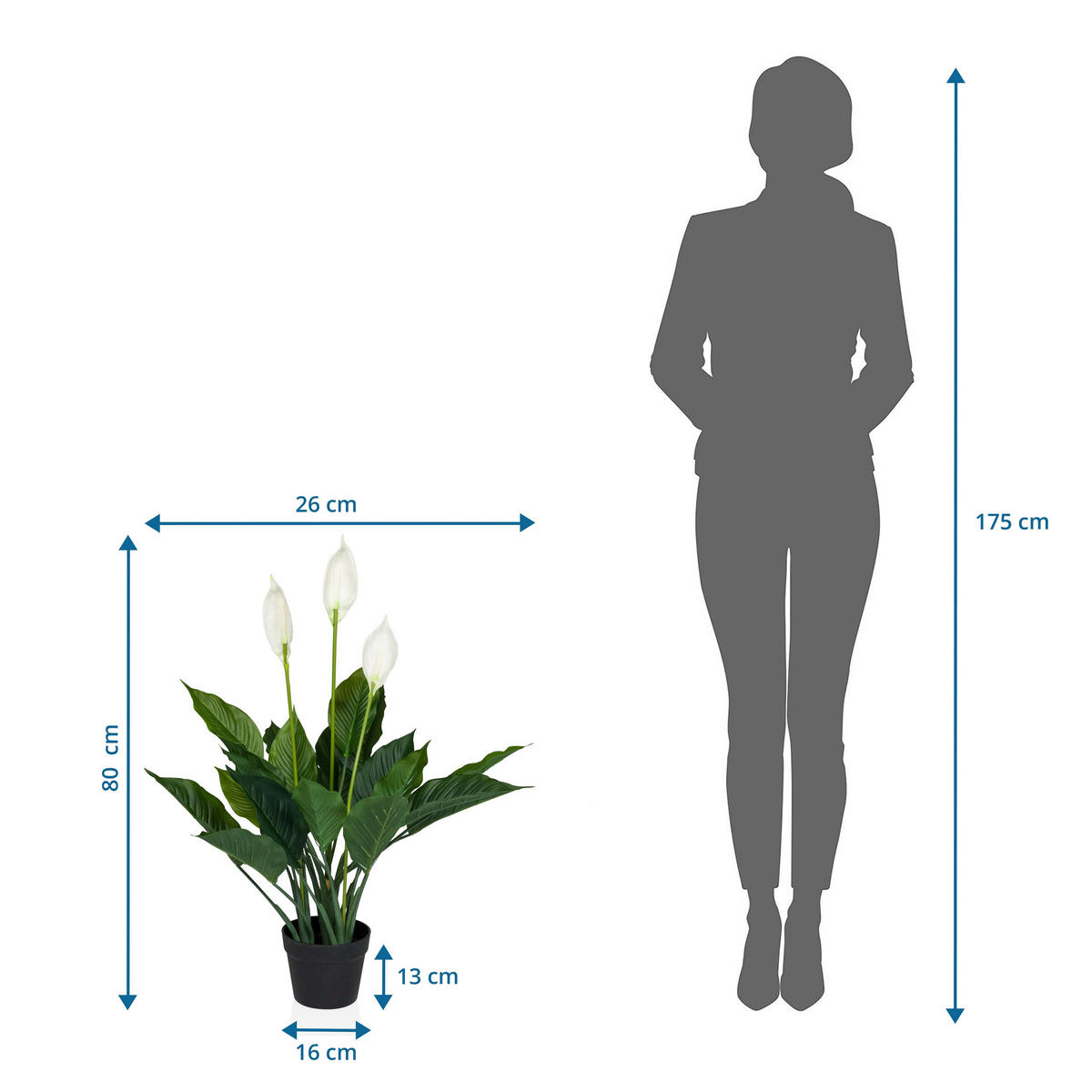 UMĚLÁ ROSTLINA  - bílá/černá, Moderní, plast (26/80/26cm) - MID.YOU