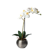 ORCHIDEE - Weiss/Silberfarben, Basics, Keramik/Kunststoff (45cm)