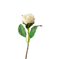 PROTEA - Weiss/Grün, Basics, Kunststoff (65cm)