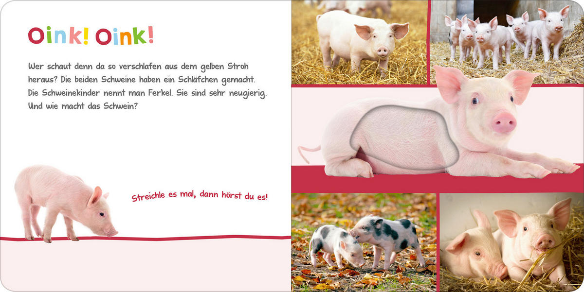 SOUNDBUCH - Basics (19,6/19,6/1,8cm)