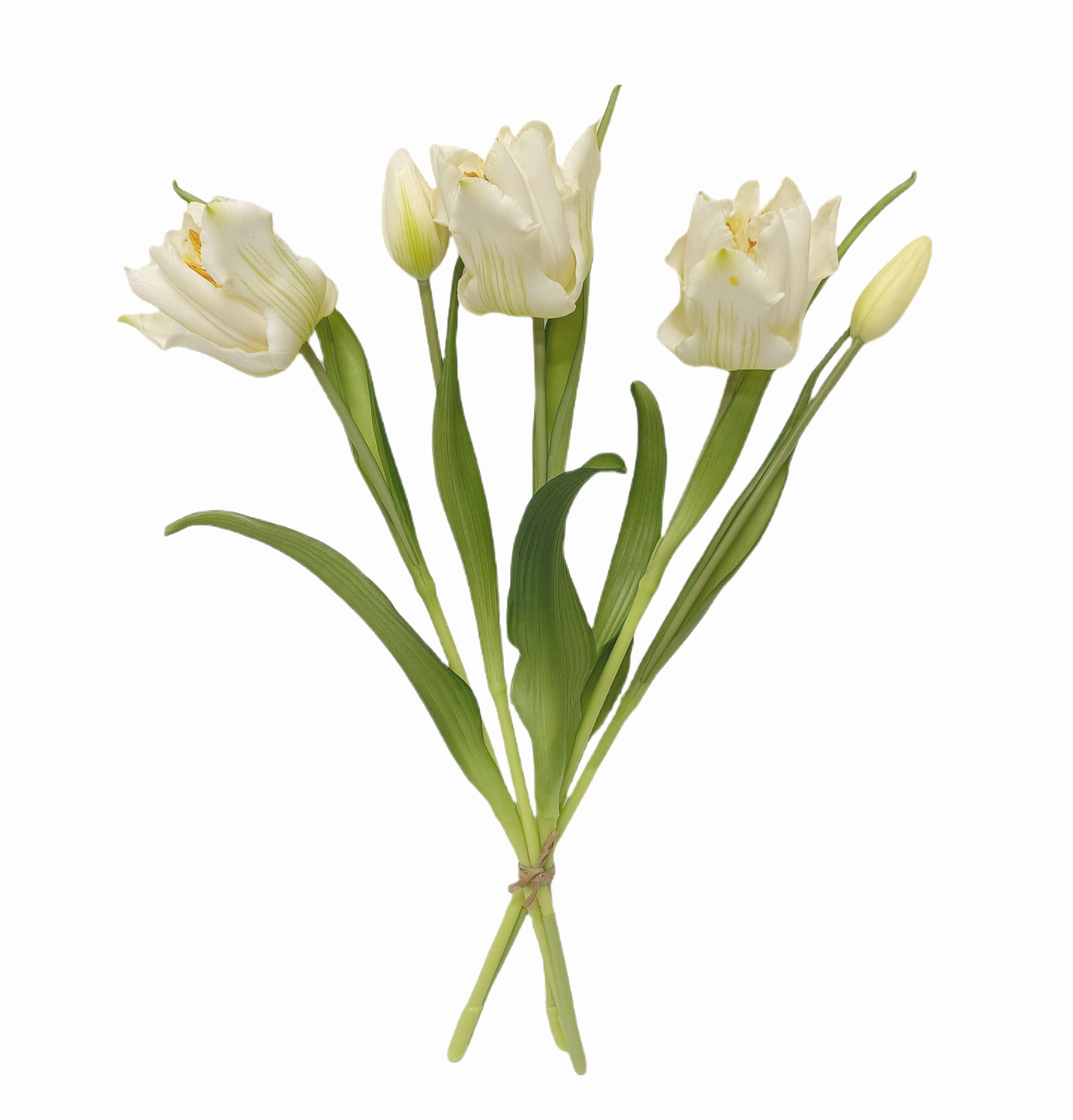 XXXLutz Tulpe Grün, Weiß 41 cm