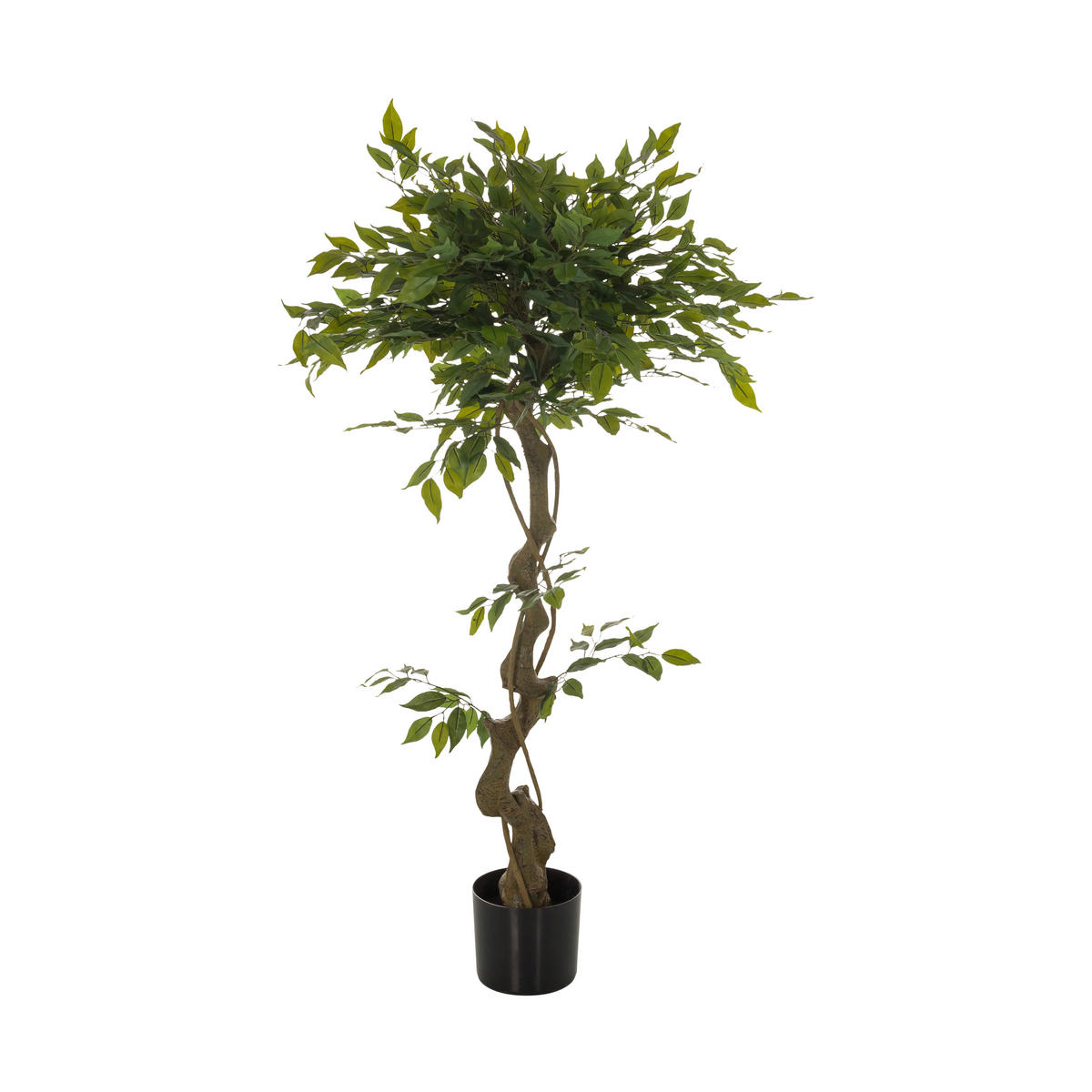 KUNSTPFLANZE Ficus Benjamina  - Schwarz/Braun, Basics, Kunststoff (70/120/70cm) - MID.YOU