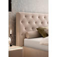 POLSTERBETT 200/200 cm  in Beige  - Birkefarben/Beige, KONVENTIONELL, Holz/Textil (200/200cm) - Novel