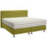 BOXSPRINGBETT 200/200 cm in Grün - Alufarben/Grün, KONVENTIONELL, Holz/Kunststoff (200/200cm) - Bentley BOXSPRINGBETT 200/200 cm in Grün - Alufarben/Grün, KONVENTIONELL, Holz/Kunststoff (200/200cm) - Bentley