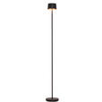 AKKU-STEHLEUCHTE 16/120 cm    - Schwarz, Design, Kunststoff/Metall (16/120cm) - Dieter Knoll