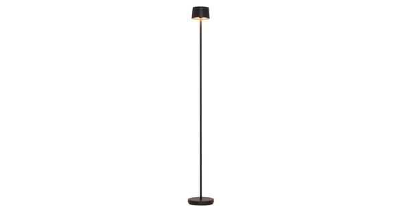 AKKU-STEHLEUCHTE 16/120 cm - Schwarz, Design, Kunststoff/Metall (16/120cm) - Dieter Knoll