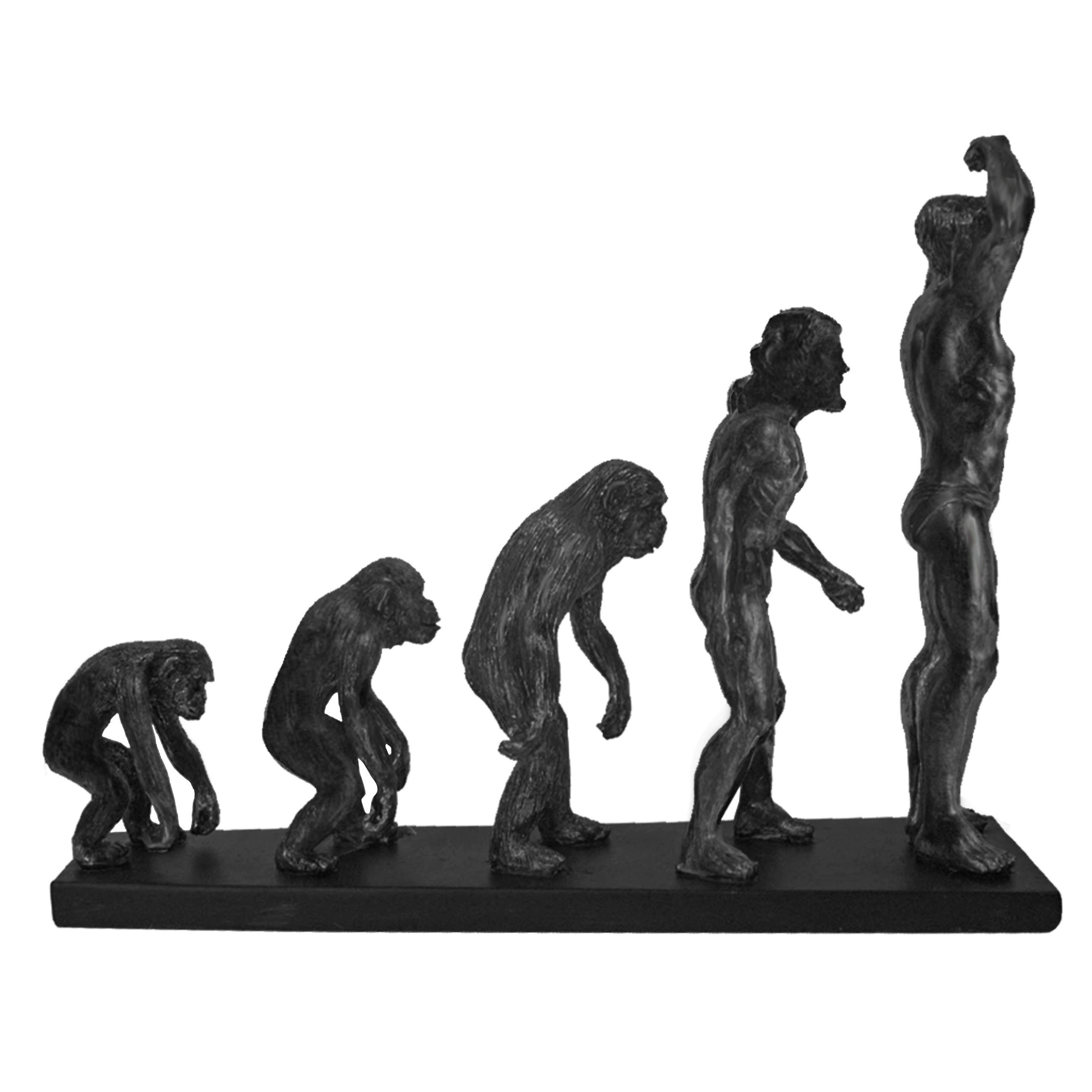 Ambia Home Skulptur Schwarz 12x26x35 cm