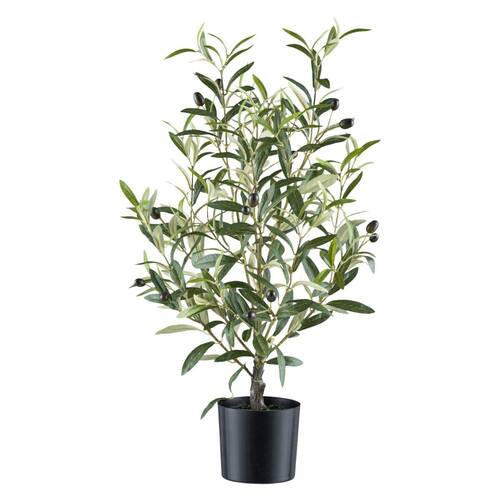 KUNSTPFLANZE Olive 70 cm  - Schwarz/Grau, Design, Kunststoff (70cm) - P & B