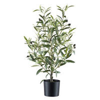 KUNSTPFLANZE Olive 70 cm  - Schwarz/Grau, Design, Kunststoff (70cm) - P & B