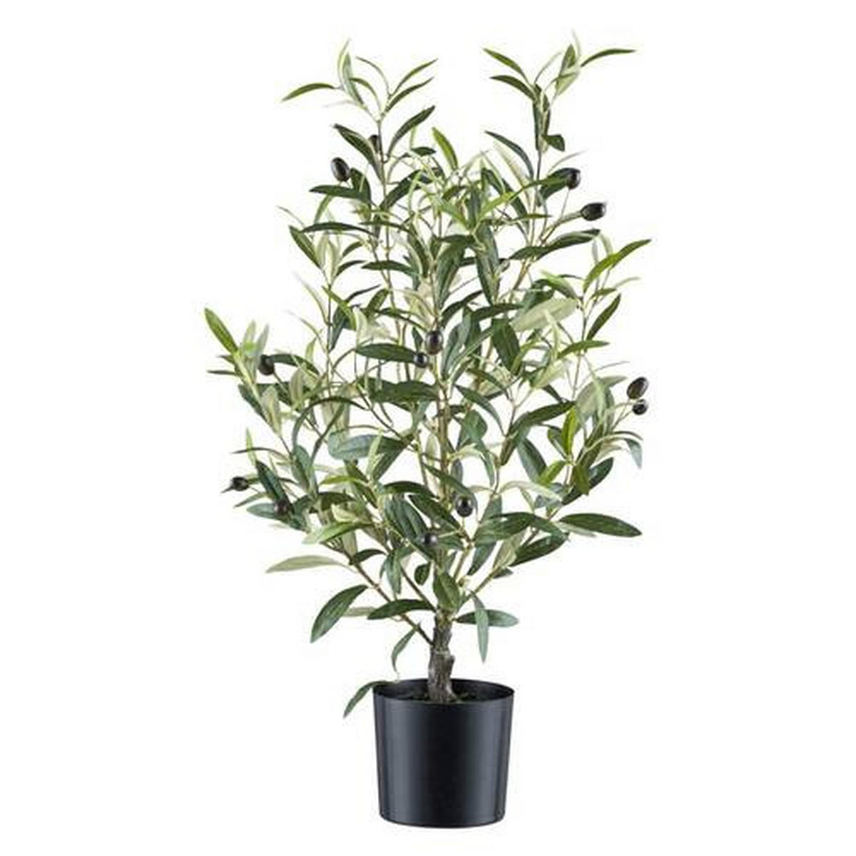KUNSTPFLANZE Olive 70 cm  - Schwarz/Grau, Design, Kunststoff (70cm) - P & B