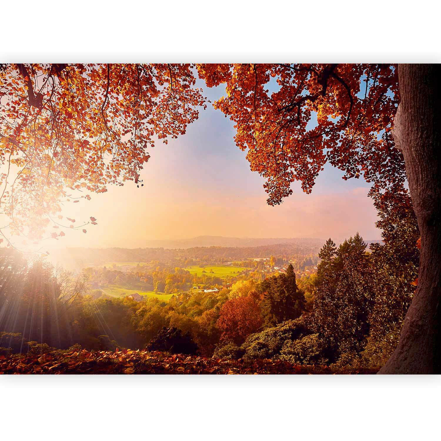 FOTOTAPETE - Multicolor, Basics, Textil (300/210cm) - artgeist