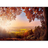FOTOTAPETE - Multicolor, Basics, Textil (100/70cm) - artgeist
