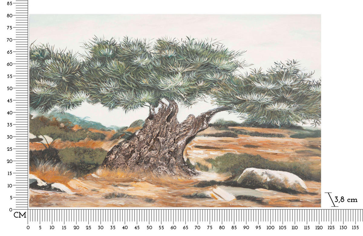 LEINWANDBILD Bäume  - Basics, Holz/Textil (120/80/3.8cm)