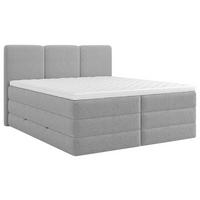 BOXSPRING KREVET    180/200 cm  - siva/crna, Moderno, drvni materijal/drvo (180/200cm) - MID.YOU