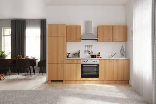 KUCHYNSKÁ LINKA NANO - farba buka/farba ušľachtilej ocele, Modern, kompozitné drevo/plast (270cm) - FlexWell