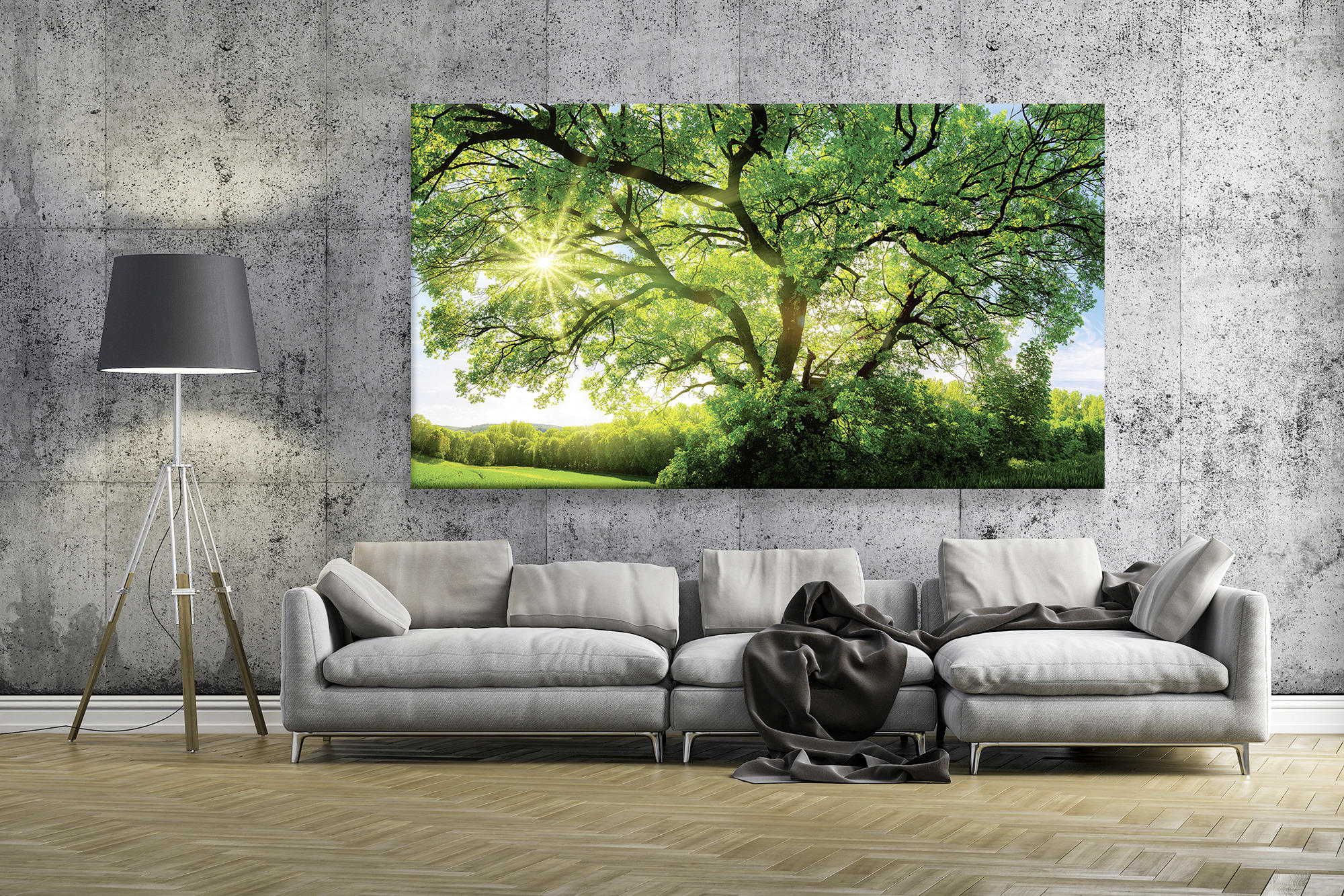 ACRYLGLASBILD Bäume  - Multicolor, Natur, Kunststoff (180/100/1,70cm) - Euroart