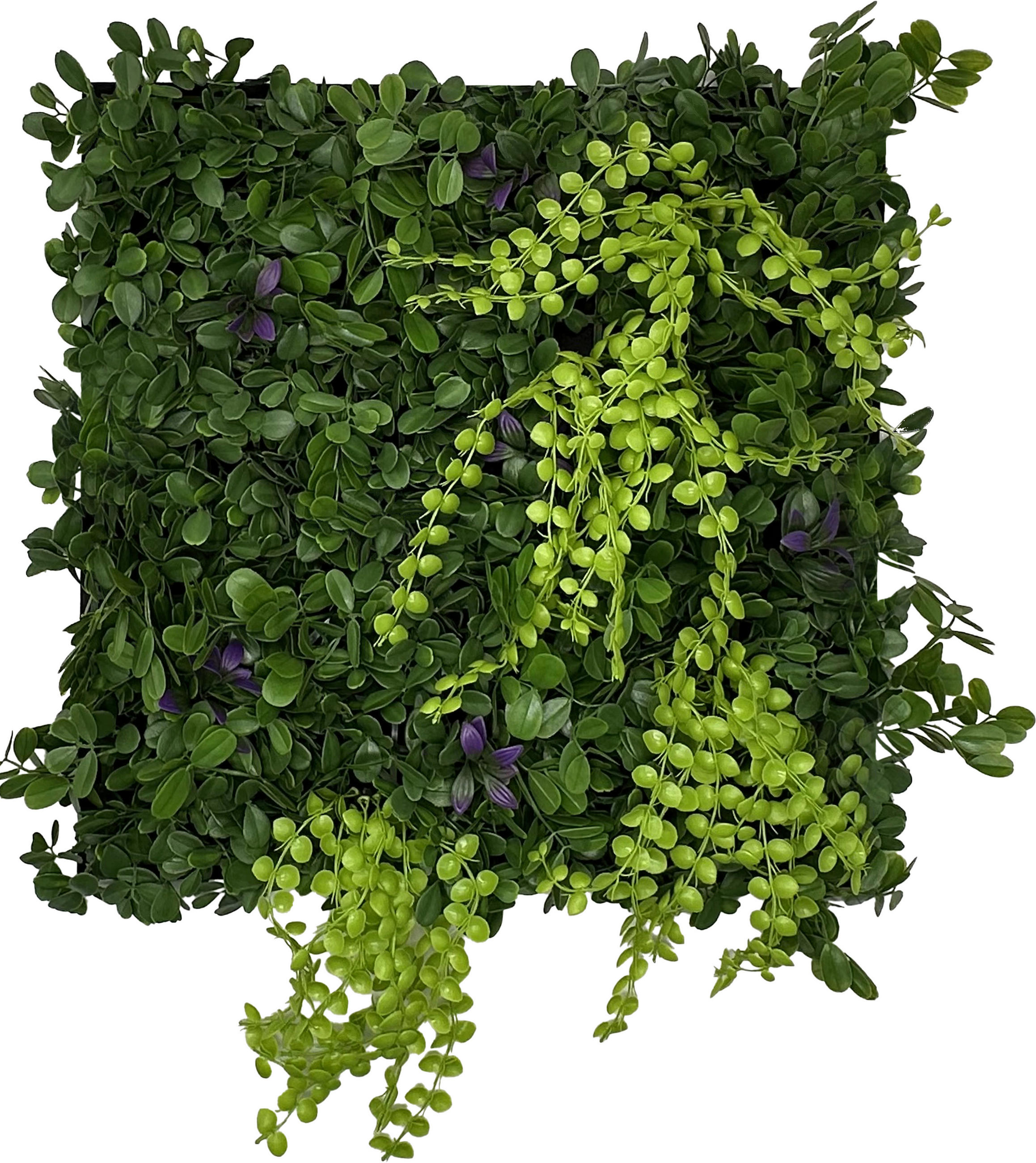 AKUSTIKPANEEL Modular Wall System Nature Design Flora 52/52/4 cm  - Grün, MODERN, Kunststoff (52/52/4cm) - Jangal