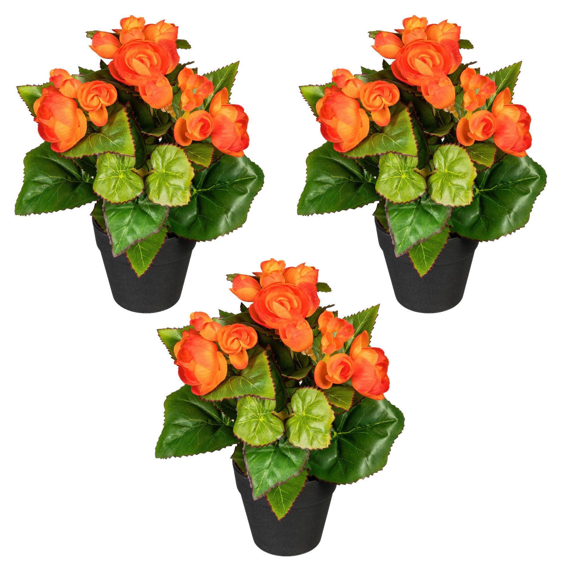 KUNSTPFLANZE Begonien 24 cm  - Schwarz/Orange, Design, Kunststoff (24cm)